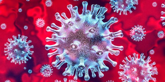 Polski przedstawiciel w Komitecie Sterującym IIAN